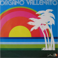 Organo Vallenato