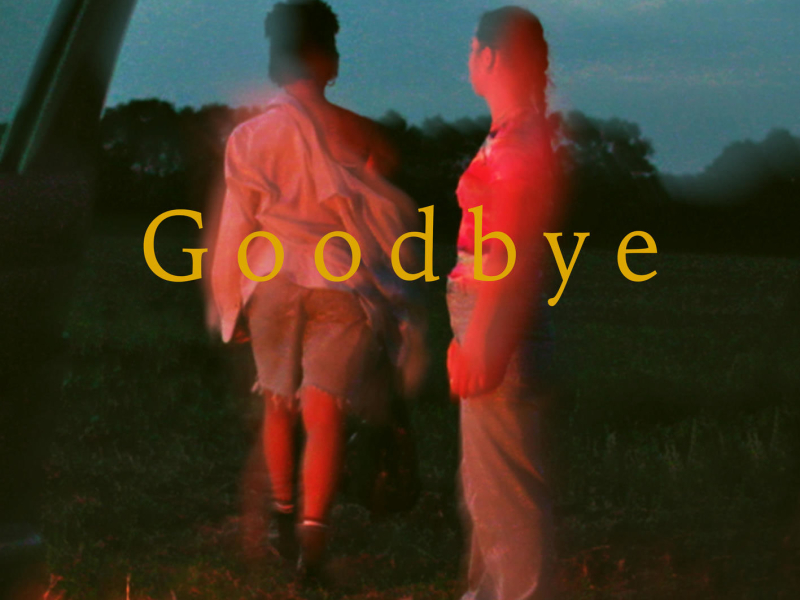 Goodbye (Single)