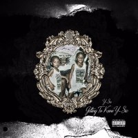 Getting to Know Y-Sic