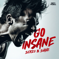 GO INSANE (Single)