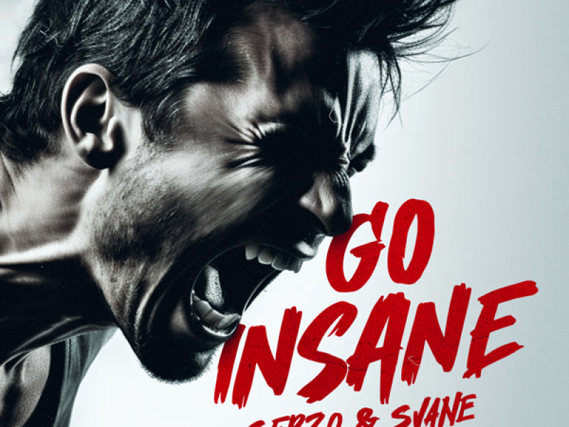 GO INSANE (Single)