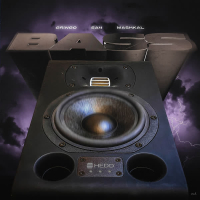 BASS (Single)