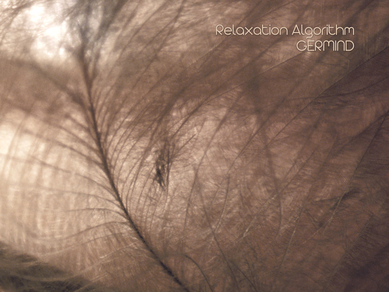 Relaxation Algorithm