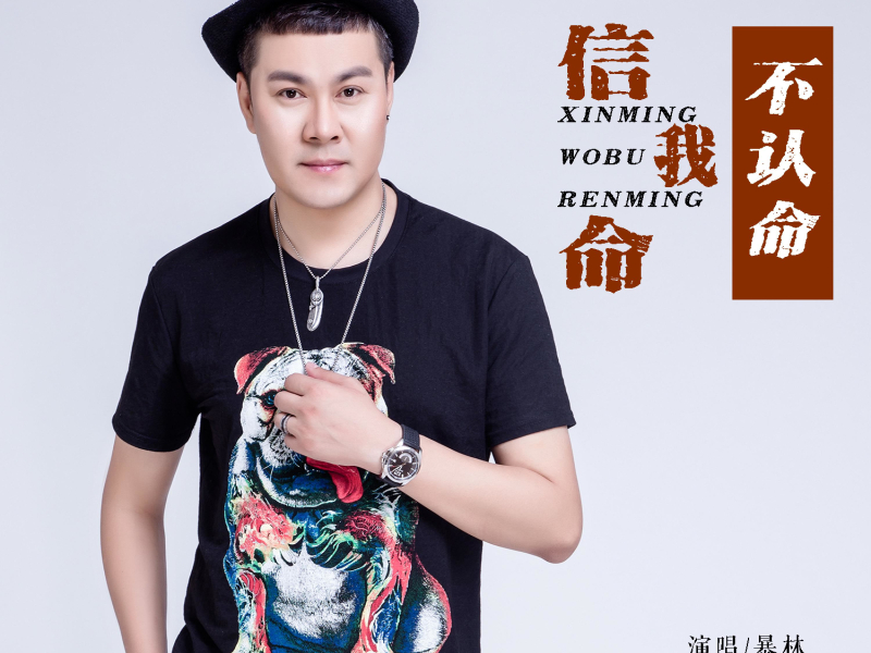 信命我不认命 (EP)