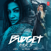 Budget (Single)