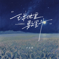 玉米地里数星斗 (Single)