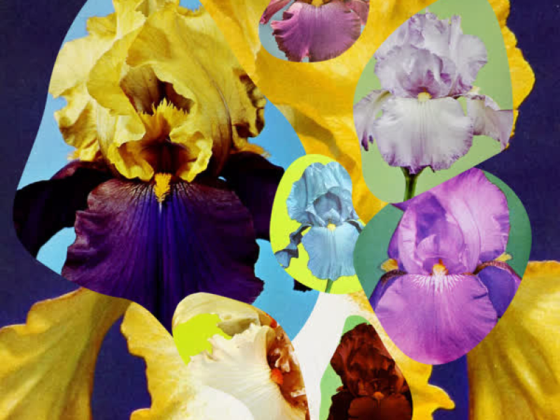 Felicidad (Remix) (Single)