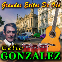 Grandes Exitos De Oro