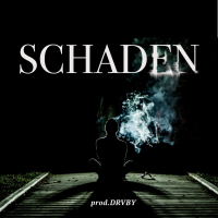 SCHADEN (feat. Vasco) (Single)