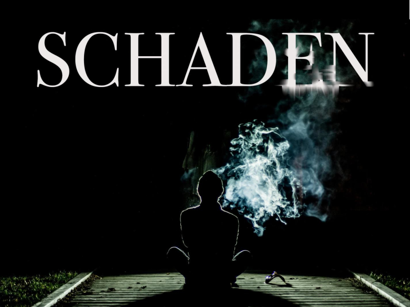 SCHADEN (feat. Vasco) (Single)