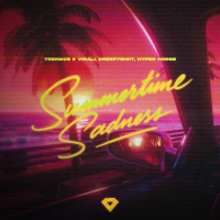 Summertime Sadness (Techno Mix) (Single)