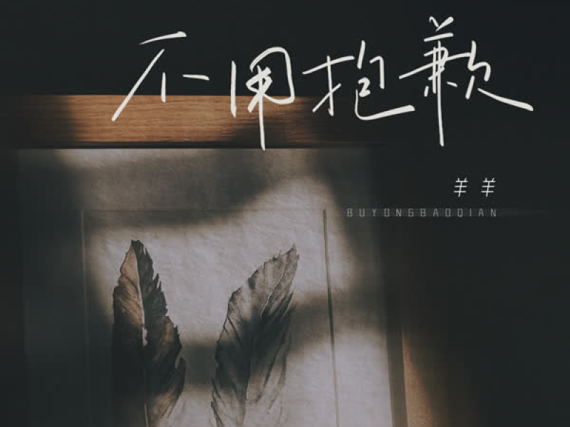 不用抱歉 (Single)