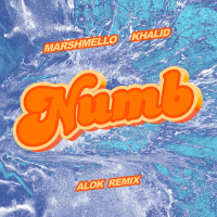 Numb (Alok Remix) (Single)