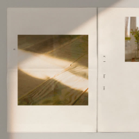 If I Lose You (Single)