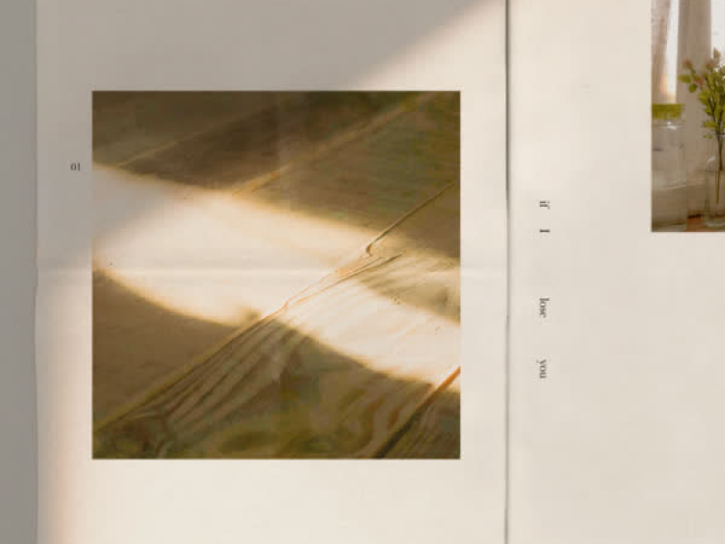 If I Lose You (Single)