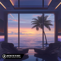 Waiting For The Night (Single)