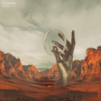 Shine On (Justin Martin Remix) (Single)