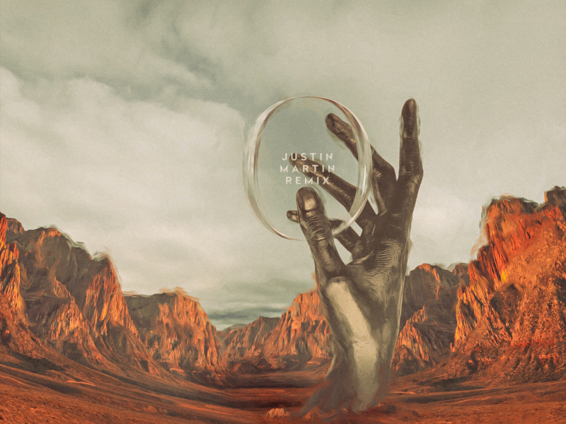 Shine On (Justin Martin Remix) (Single)