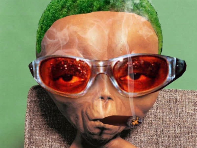 Area 516 Freestyle (Single)