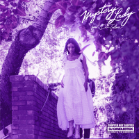 Mystery Lady (ChopNotSlop Remix) (Single)