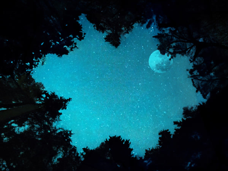 Welcome The Night (Single)