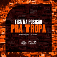 Fica Na Posicão Pra Tropa (Single)