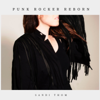 I Wish I Was a Punk Rocker (Reborn) (Single)