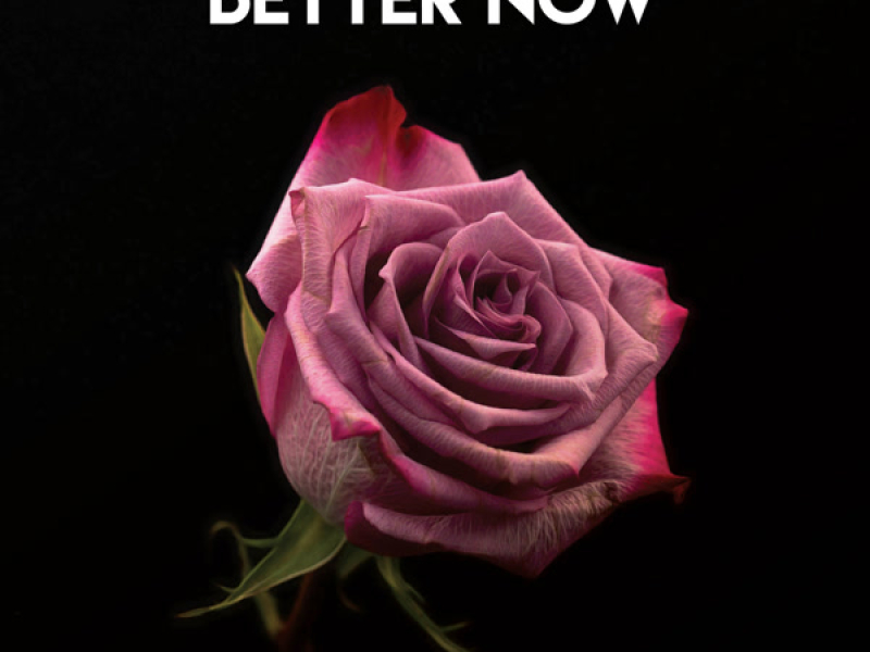 Better Now (Instrumental) (Single)