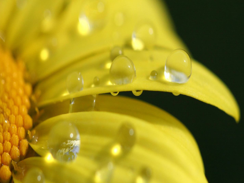 Summer Song (Single)