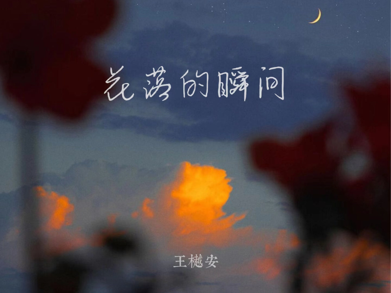 花落的瞬间 (Single)