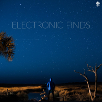 Electronic Finds (Single)