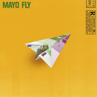 Fly