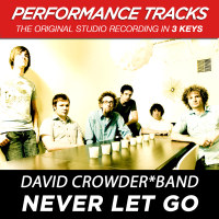 Never Let Go (Performance Tracks) - EP (Single)