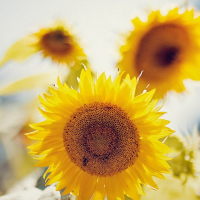 나는 예수님이 필요해요