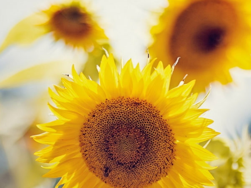 나는 예수님이 필요해요