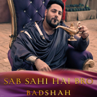 Sab Sahi Hai Bro (Inspired by 