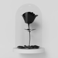 Nossa Regra (Rosa Negra) (Single)