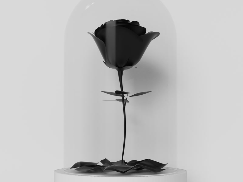 Nossa Regra (Rosa Negra) (Single)