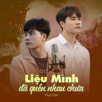 Liệu Mình Đã Quên Nhau Chưa (VMA Remix) (Single)