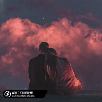 Would You Help Me (Single)