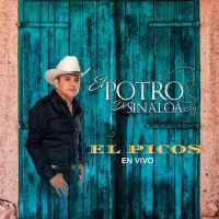 El Picos (En Vivo) (Single)