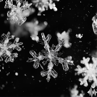 Snowflakes (Single)