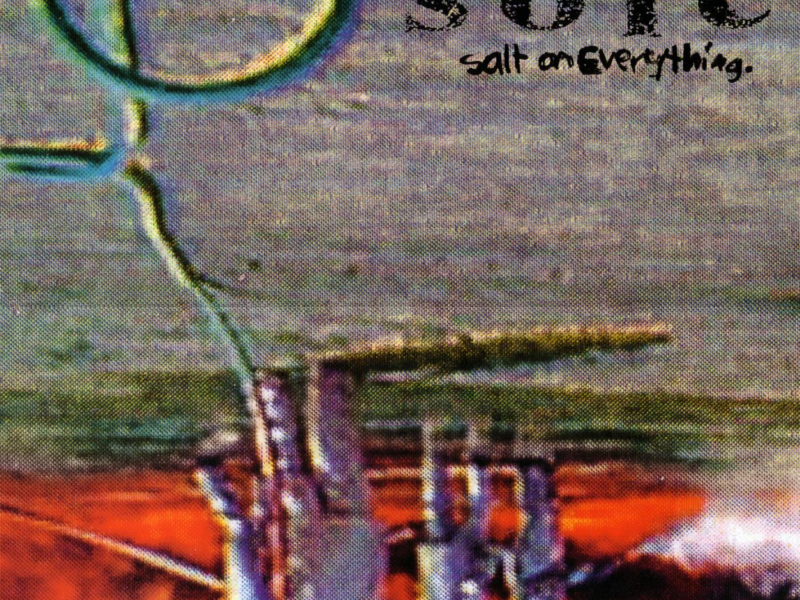 Salt On Everything