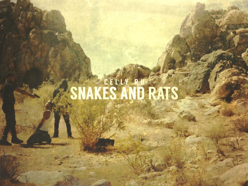 Snakes and Rats