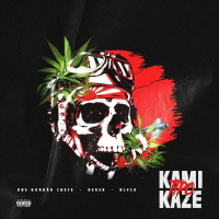 Tipo Kamikaze (Single)