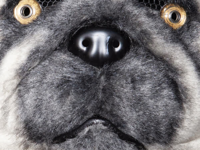 The Cella Dwellas Knew (Single)