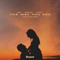 The Way You Are (feat. Ollie Wade) (Single)