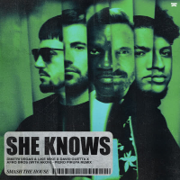 She Knows (with Akon) (Piero Pirupa Remix) (EP)