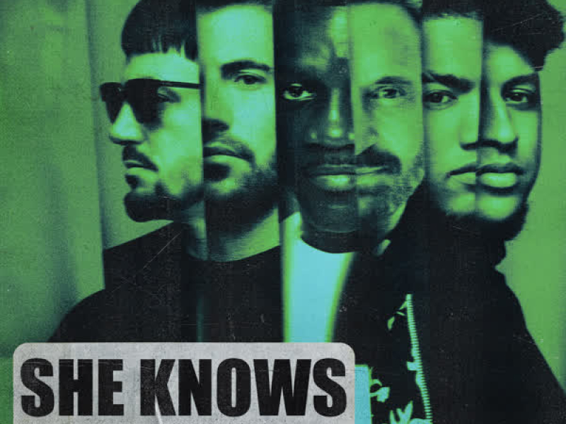 She Knows (with Akon) (Piero Pirupa Remix) (EP)