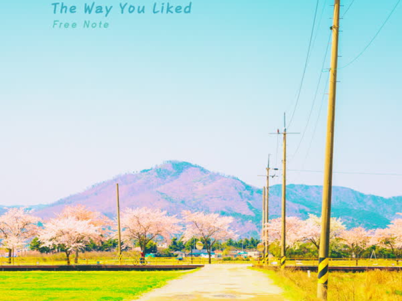 The Way You Liked